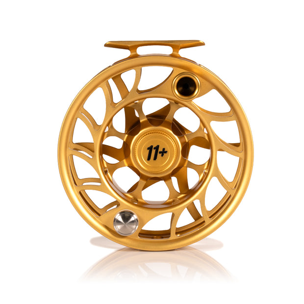 2025 Custom Fool's Gold Reel, 11 Plus