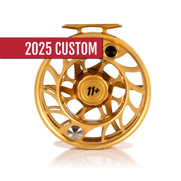 2025 Custom Fool's Gold Reel, 11 Plus