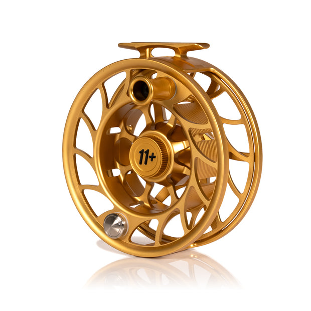 2025 Custom Fool's Gold Reel, 11 Plus