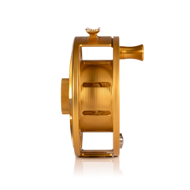 2025 Custom Fool's Gold Reel, 11 Plus