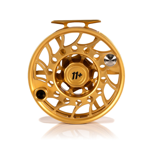 2025 Custom Fool's Gold Reel, 11 Plus