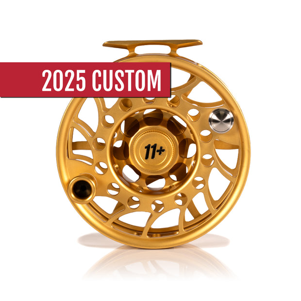 2025 Custom Fool's Gold Reel, 11 Plus