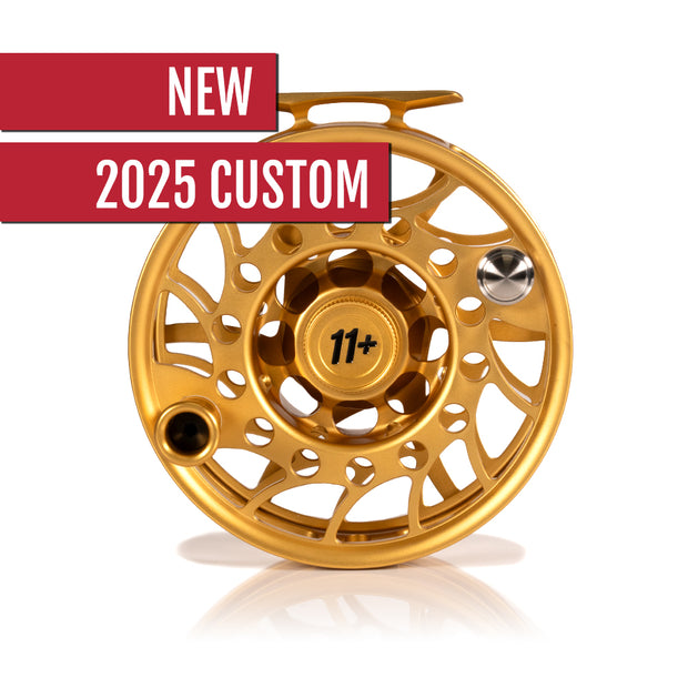 2025 Custom Fool's Gold Reel, 11 Plus