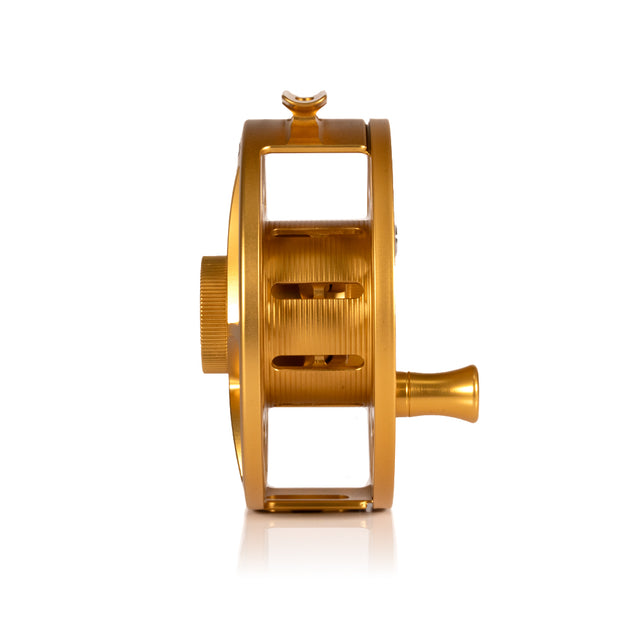 2025 Custom Fool's Gold Reel, 11 Plus