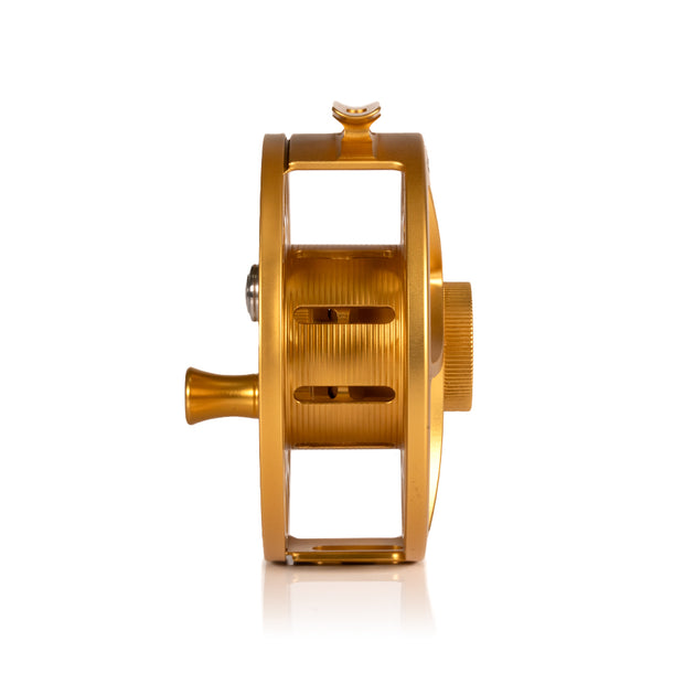 2025 Custom Fool's Gold Reel, 11 Plus
