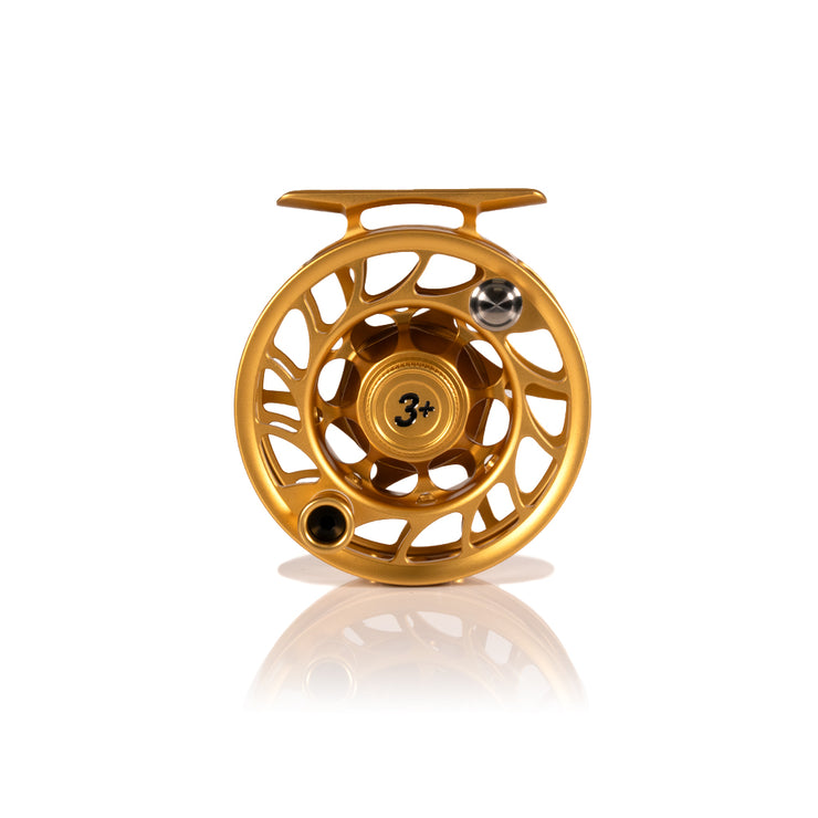 2025 Custom Fool's Gold Reel, 3 Plus