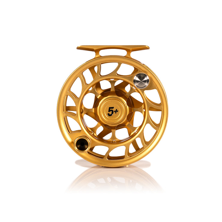 2025 Custom Fool's Gold Reel, 5 Plus