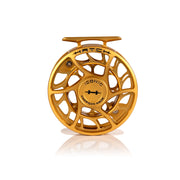 2025 Custom Fool's Gold Reel, 5 Plus