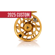 2025 Custom Fool's Gold Reel, 5 Plus