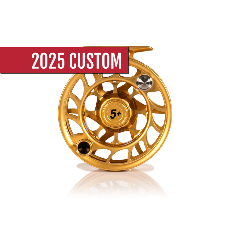 2025 Custom Fool's Gold Reel, 5 Plus