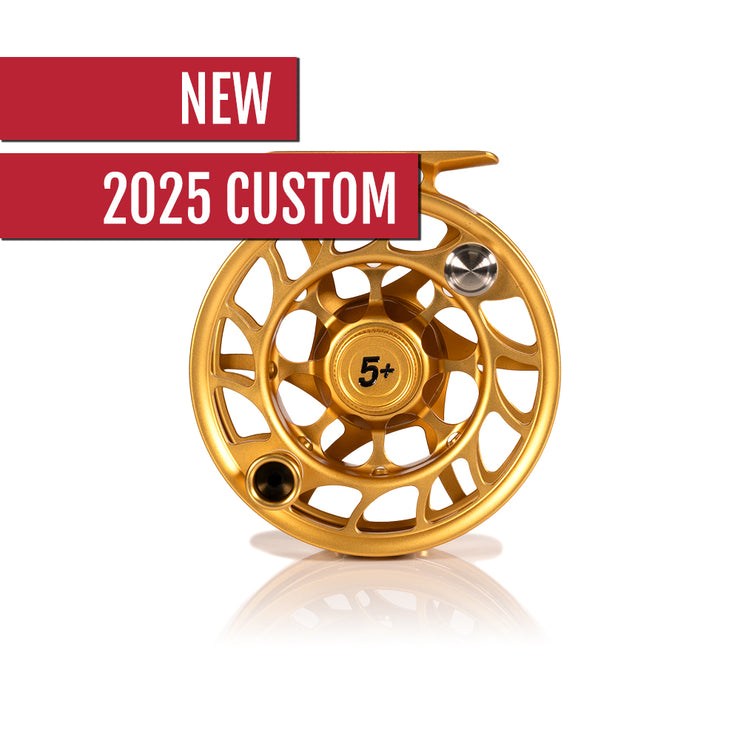 2025 Custom Fool's Gold Reel, 5 Plus