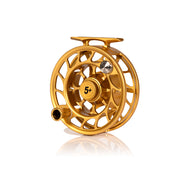 2025 Custom Fool's Gold Reel, 5 Plus