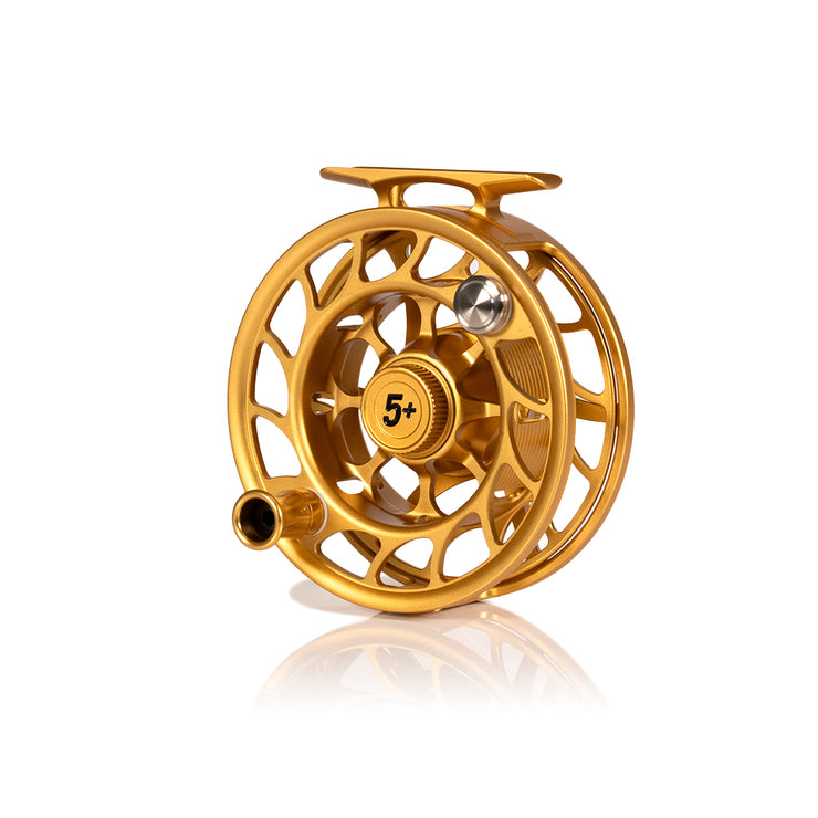2025 Custom Fool's Gold Reel, 5 Plus