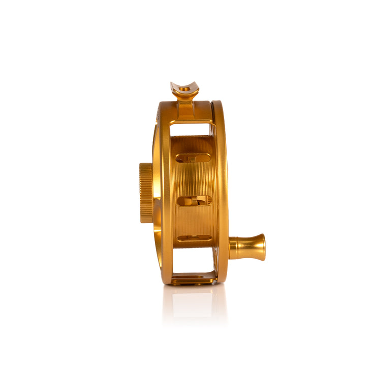 2025 Custom Fool's Gold Reel, 5 Plus