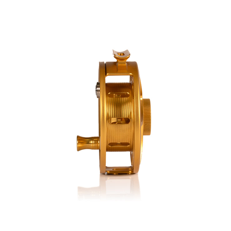 2025 Custom Fool's Gold Reel, 5 Plus
