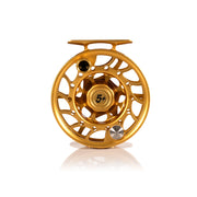 2025 Custom Fool's Gold Reel, 5 Plus