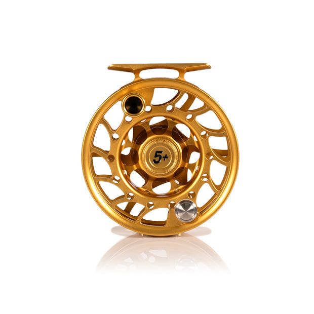 2025 Custom Fool's Gold Reel, 5 Plus