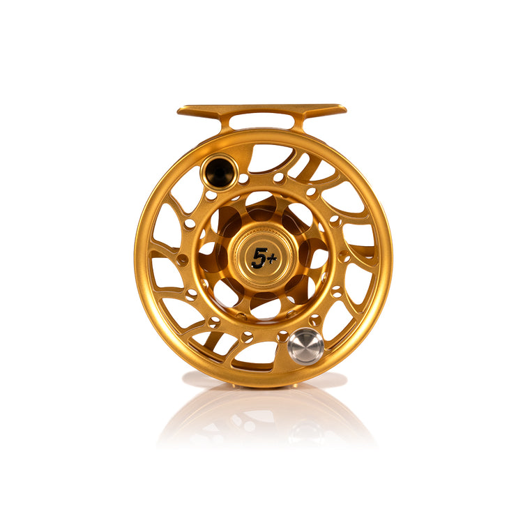 2025 Custom Fool's Gold Reel, 5 Plus