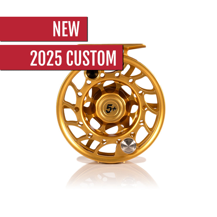 2025 Custom Fool's Gold Reel, 5 Plus