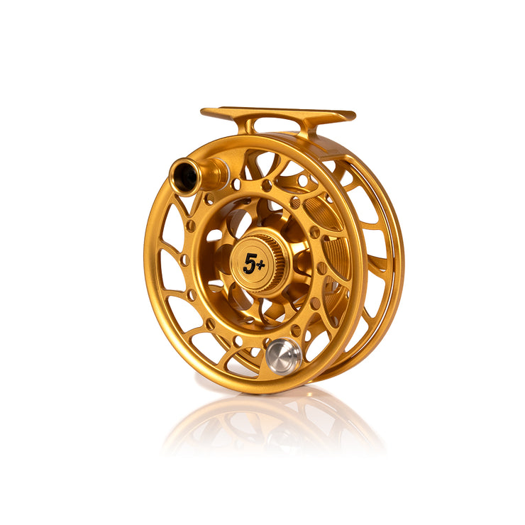 2025 Custom Fool's Gold Reel, 5 Plus