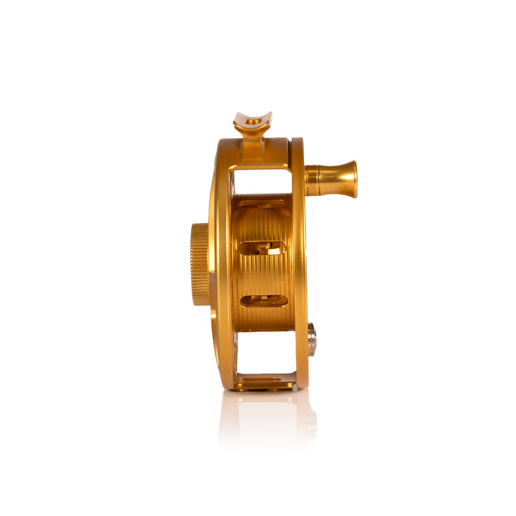 2025 Custom Fool's Gold Reel, 5 Plus