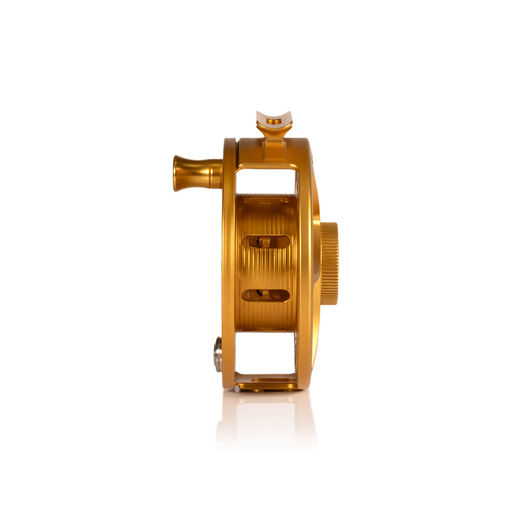 2025 Custom Fool's Gold Reel, 5 Plus