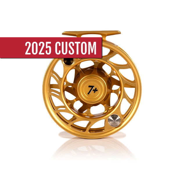 2025 Custom Fool's Gold Reel, 7 Plus