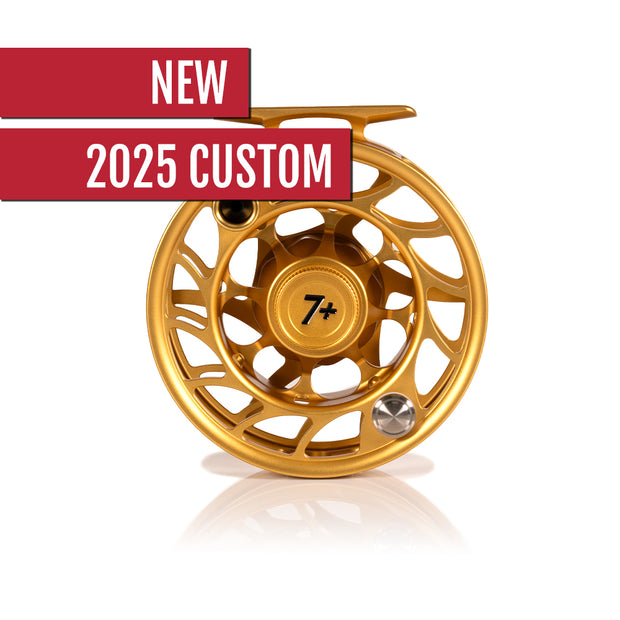 2025 Custom Fool's Gold Reel, 7 Plus