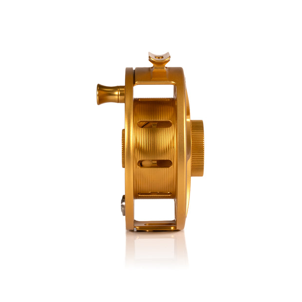2025 Custom Fool's Gold Reel, 7 Plus