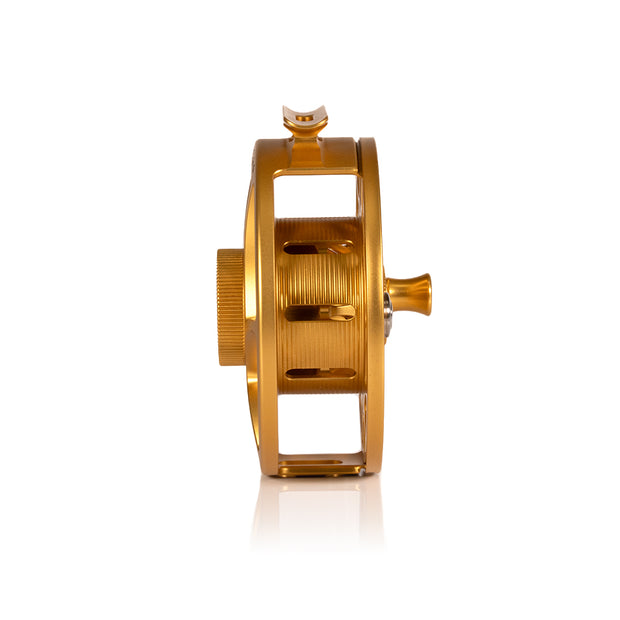 2025 Custom Fool's Gold Reel, 7 Plus
