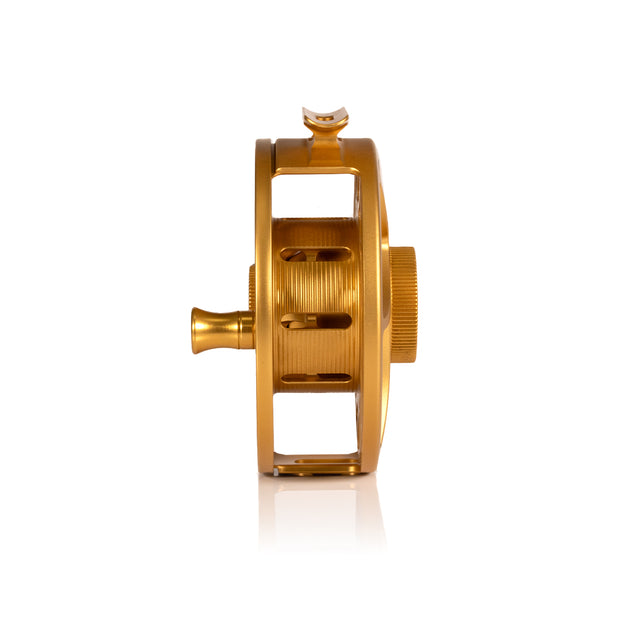 2025 Custom Fool's Gold Reel, 7 Plus