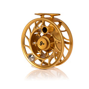 2025 Custom Fool's Gold Reel, 9 Plus