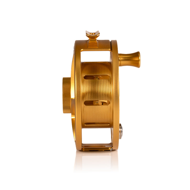 2025 Custom Fool's Gold Reel, 9 Plus