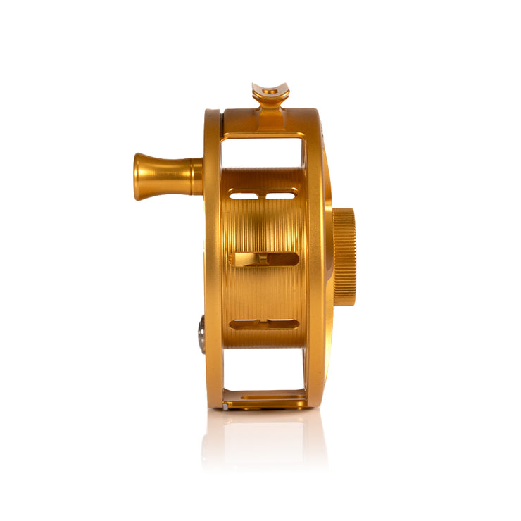2025 Custom Fool's Gold Reel, 9 Plus