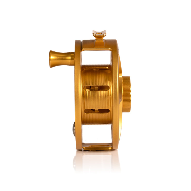 2025 Custom Fool's Gold Reel, 9 Plus