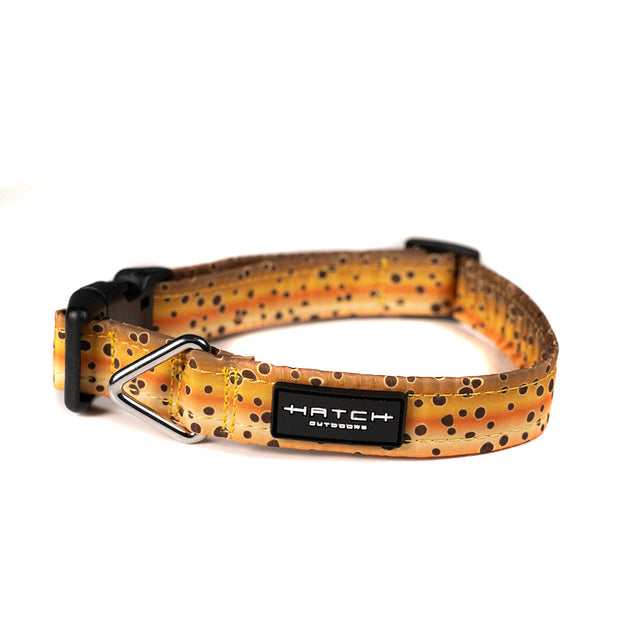 Brown Trout Dog Collar